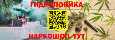 дмт Гусев